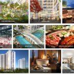 Chung cư Viha Flora: Mua nhà dễ dàng với LS 0% trong 2 năm! https://vflinvest.com.vn 26
