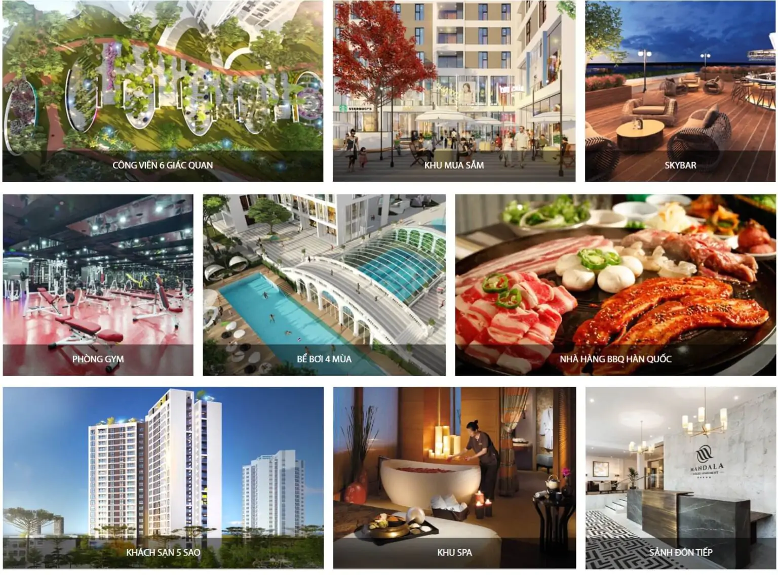 Chung cư cao cấp Viha Flora: Vay 0% lãi suất 24 tháng, sở hữu dễ dàng. 1 Chung cư cao cấp Viha Flora: Vay 0% lãi suất 24 tháng, sở hữu dễ dàng. 1